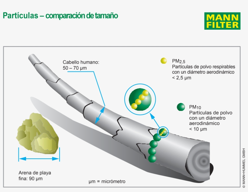 Mann Hummel Desarrolla Nuevos Filtros De Habitáculos - Mann Filter, transparent png #3488897
