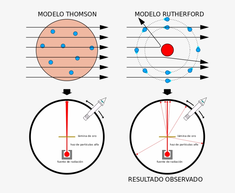 Y El Rebote De Las Partículas Alfa Indica Un Encuentro - Modelo Atomico De Thomson Y Rutherford, transparent png #3488943