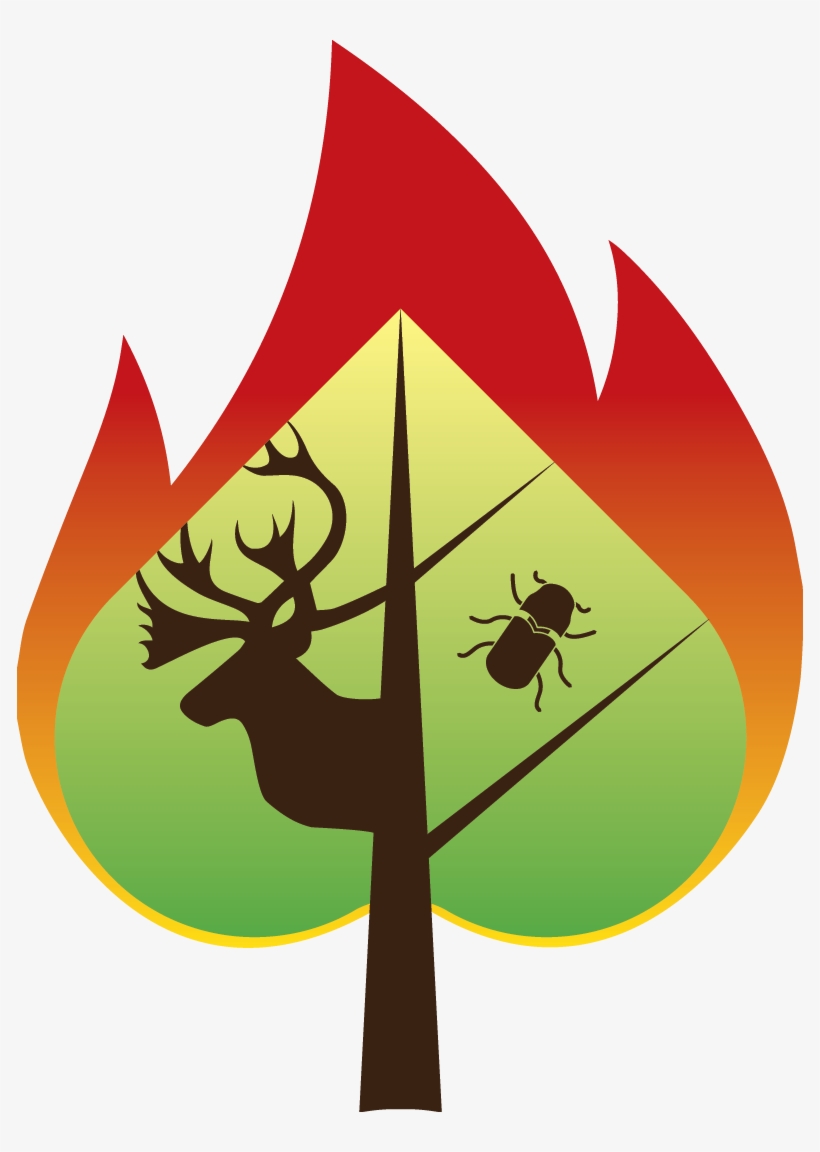 The Spades - Core Package - Ecology, transparent png #3489234