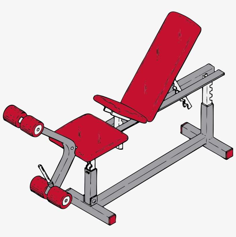 Bench Clipart Weight Lifting - Gym Equipment Clipart Png, transparent png #3489365
