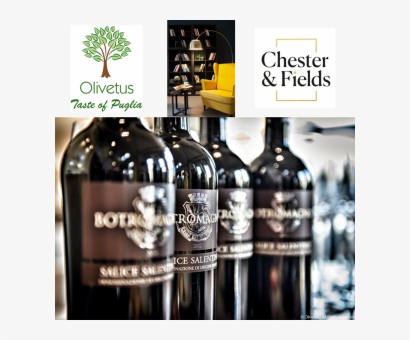 Olivetus Wine Tasting At Chester&fields - Pureooo3 Ozonzalf - Geozoniseerde Olijfolie 120ml, transparent png #3490237
