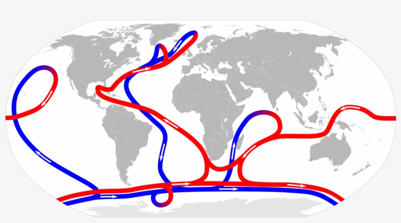 The Ocean Conveyor Transports Water And Heat Through - El Dorado Sim Cards, transparent png #3490739