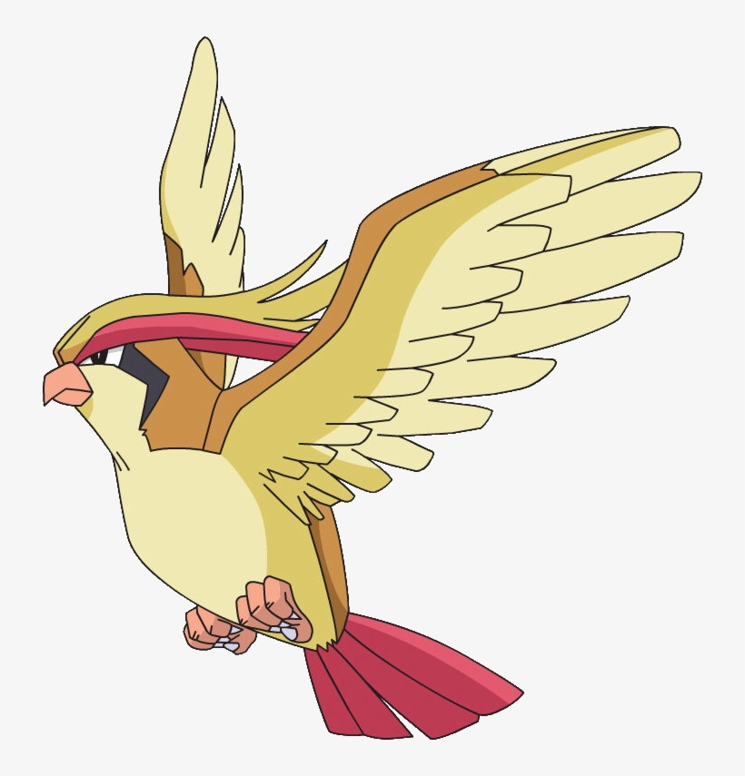 Pidgeotto Images - Pokémon, transparent png #3491156