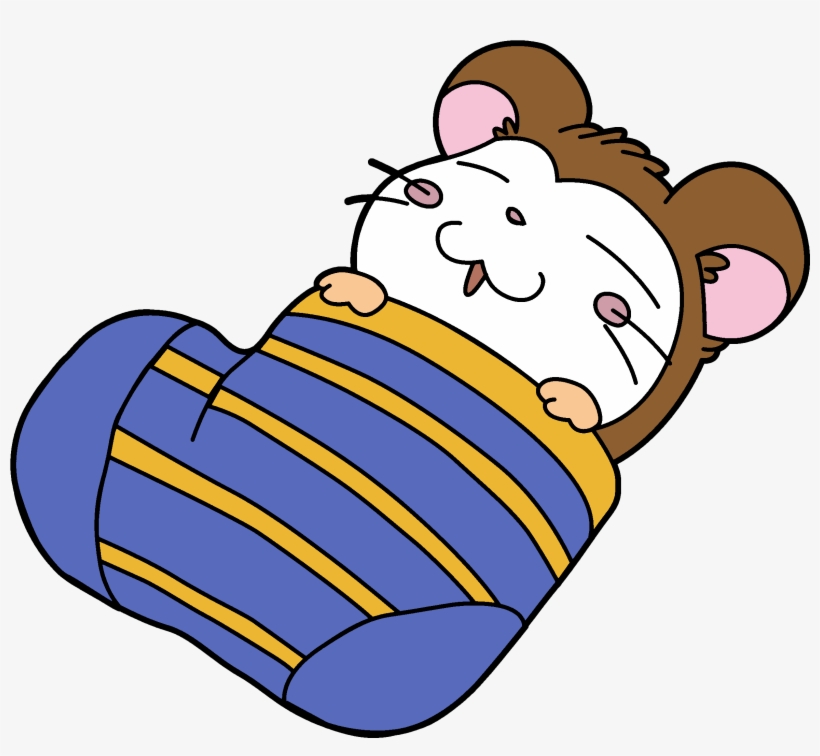 Hamtaro Who Is Your Favorite Male Ham-ham - Snoozer Hamtaro, transparent png #3491712