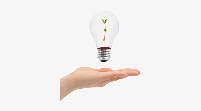 Cooking Mama Wiki - Science, transparent png #3491717