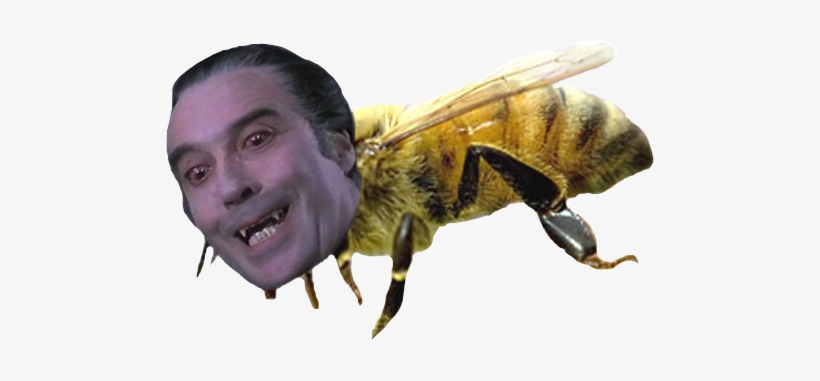 Report Abuse - Maine State Insect, transparent png #3491886