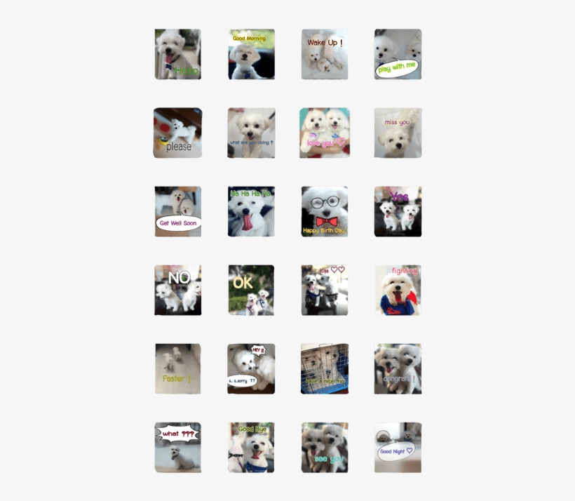 Hamster & Hamtaro - Siberian Husky, transparent png #3492206