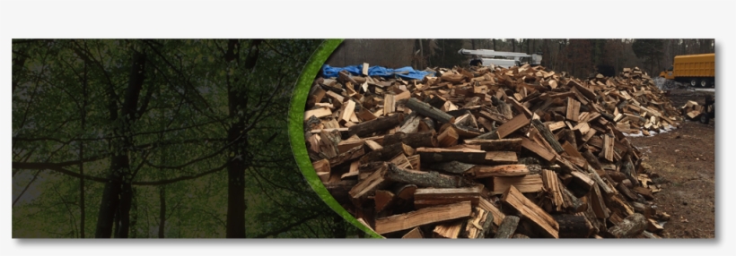 We're Here For More Than Firewood - New Jersey, transparent png #3492839