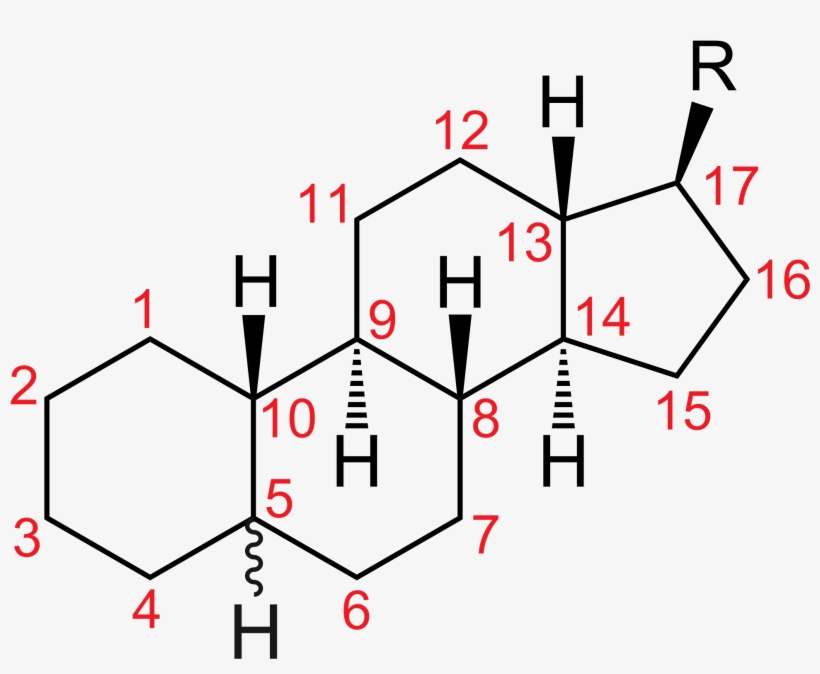 Open - Chemical Structure Of Pituitary Gland Hormone, transparent png #3493774