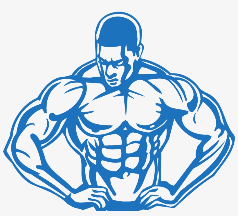 How Anabolics Steroids Work And Help You To Become - Muscle Building: Proven Ways To Get Shredded Quickly, transparent png #3493835