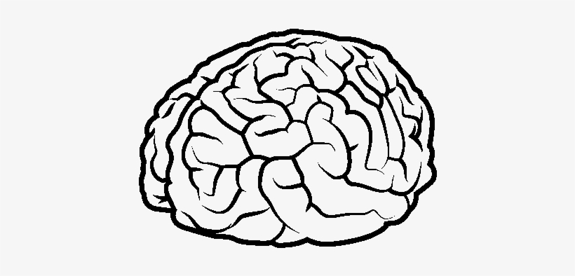 Dibujo De Cerebro Para Colorear - Cerebro Desenho, transparent png #3493872