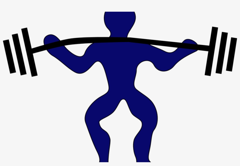 Legal Steroids- Top Brands - Camisas No Pain No Gain, transparent png #3493952