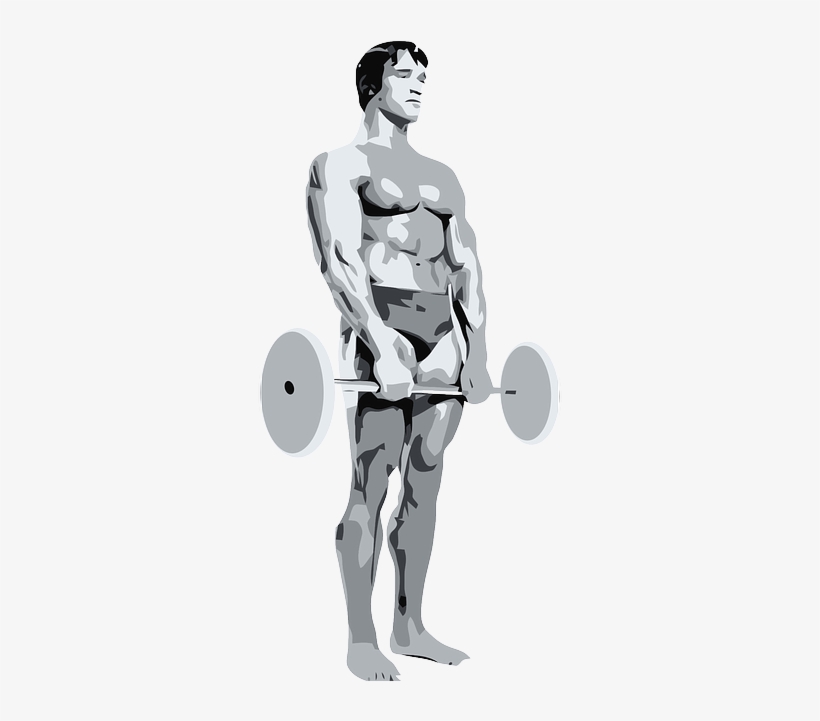 Bodybuilder - Bulk Up: Simple & Practical Ways To Effective Weight, transparent png #3494178