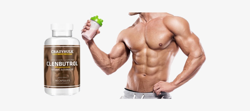 Clenbuterol Hydrochloride Are Not Officially Steroids - Rectus Abdominis Muscle, transparent png #3494234