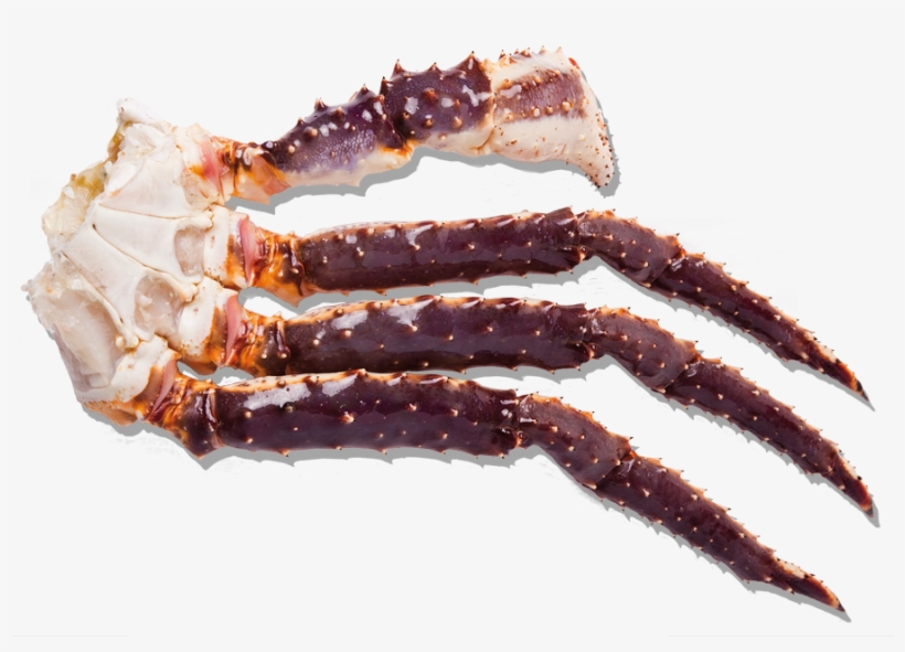 Frozen Raw King Crab Cluster - Fresh King Crab Raw, transparent png #3494439