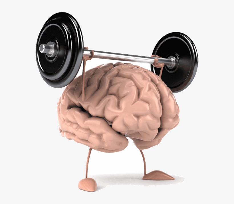 Seis Dicas Para Manter O Cérebro Sempre Jovem - Brain Power, transparent png #3494626