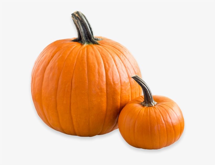 Next - Kürbis Png, transparent png #3495041