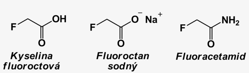 File - Fluoroctany - Graphic Design, transparent png #3495481