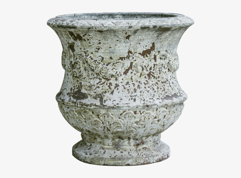 Atlantis Thistle Urn, transparent png #3499299