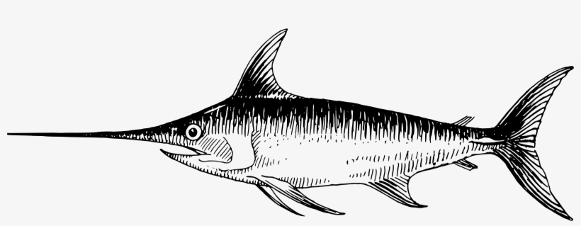 Swordfish Fish Transprent Png - Drawing Of A Swordfish, transparent png #350193
