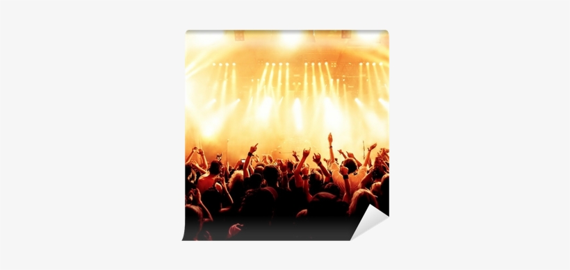 Concert Crowd Png Download - Managing Artists In Pop Music: What Every Artist And, transparent png #350436