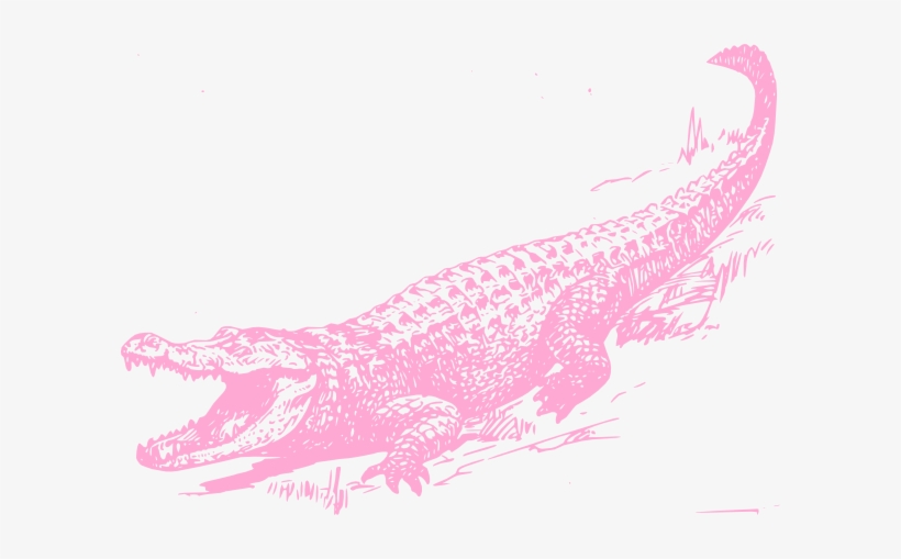 Small - Black And White Alligator, transparent png #350520