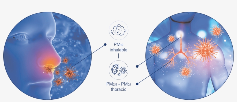 Create - Health, transparent png #350583