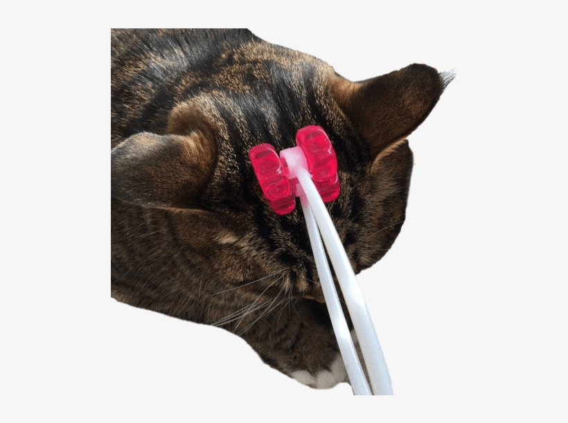 Cat Face Massager - Massage, transparent png #351522