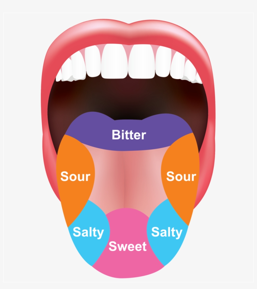 H2 Tongue - Tongue Graphic, transparent png #352683