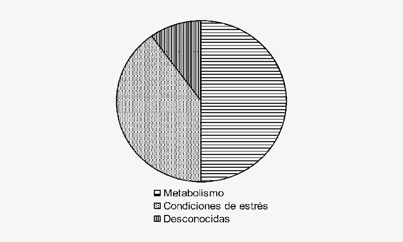 Clasificación Funcional De Las Proteínas Constantemente - Circle, transparent png #352961