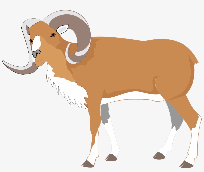Big Horns Sheet Clipart Png, transparent png #353708