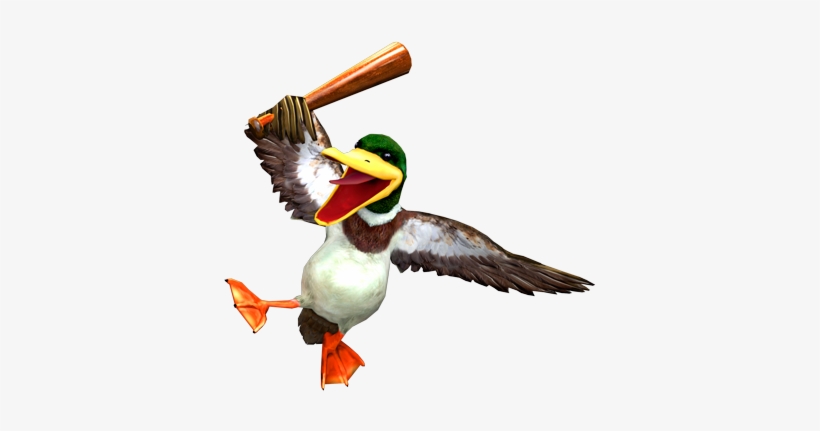 Duck - Mallard, transparent png #353789