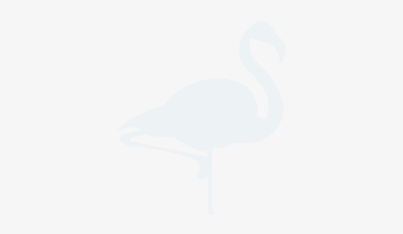 Serving Southwest & Southeast Florida 979-0016 - Swan, transparent png #353842