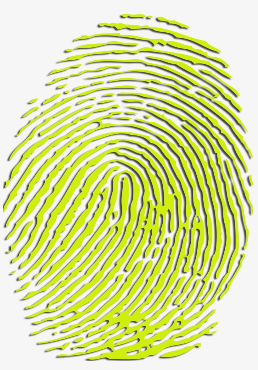 Key Specialty - Metabolomic Fingerprinting, transparent png #354000