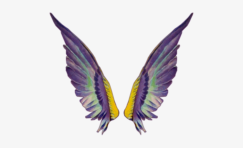 Tinkerbell Wings Png Gallery For Fairy Wings Png Wings Free Transparent Png Download Pngkey - fairy wings roblox