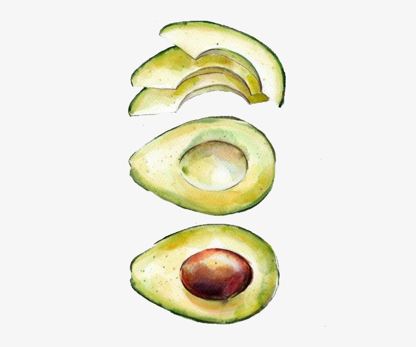 Watercolor Painting Printmaking Avocado - Watercolor Avocado, transparent png #354821