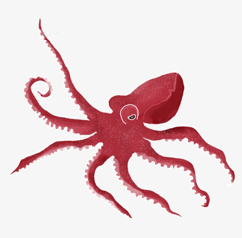 Hermie Octopus, transparent png #354945