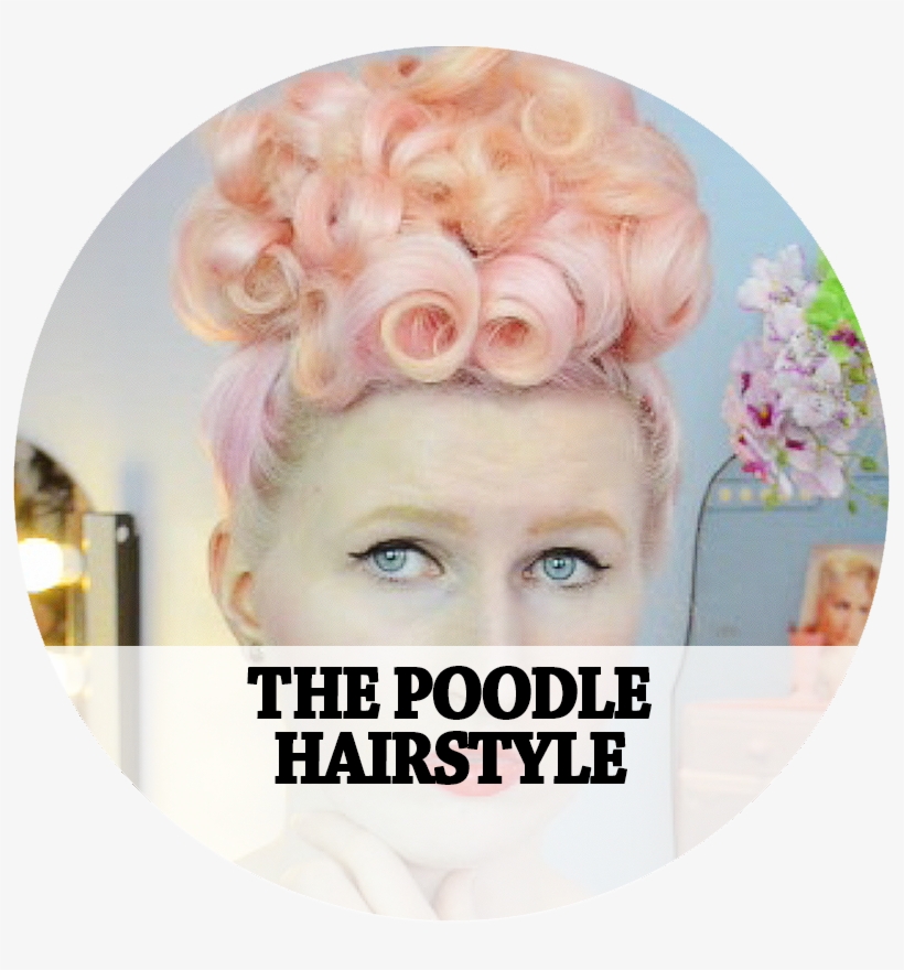 Poodle, transparent png #355011