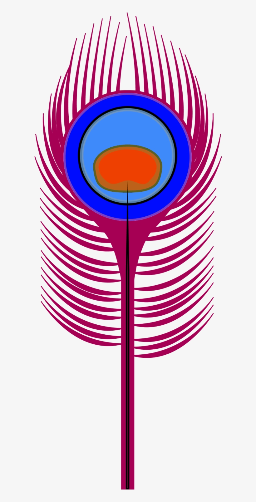 Peacock Feather Coloring Page - Peacock Feather Clip Art, transparent png #355260