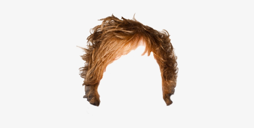 Gingers Do Have Souls - Ed Sheeran - Plus [cd], transparent png #355898
