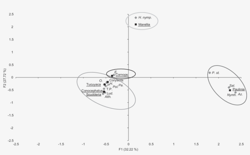 Factorial Correspondence Analysis Between Orthopteran - Diagram, transparent png #355984