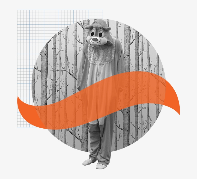 About Squirrel - Cole And Son Woods In Black & White Wallpaper 69/12147, transparent png #356247