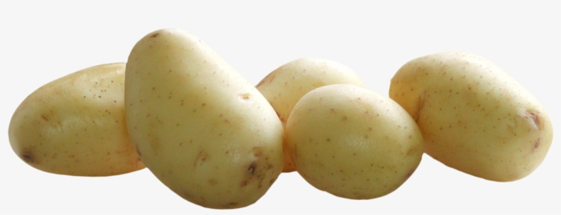 Png Images Of Vegetables, transparent png #356263