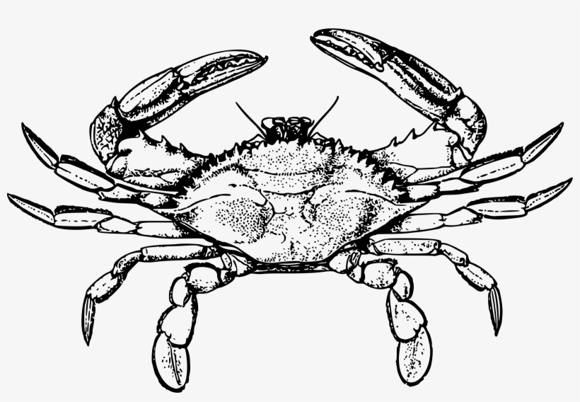 This Free Icons Png Design Of Crab 3, transparent png #356370