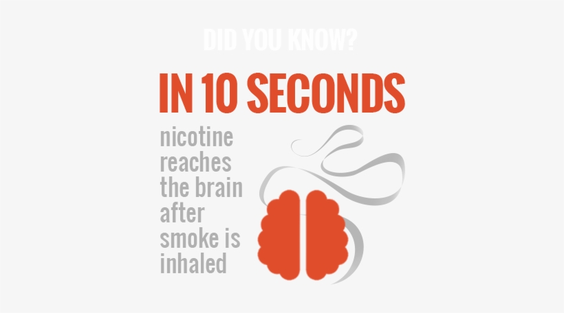 Facts On Tobacco, transparent png #356835