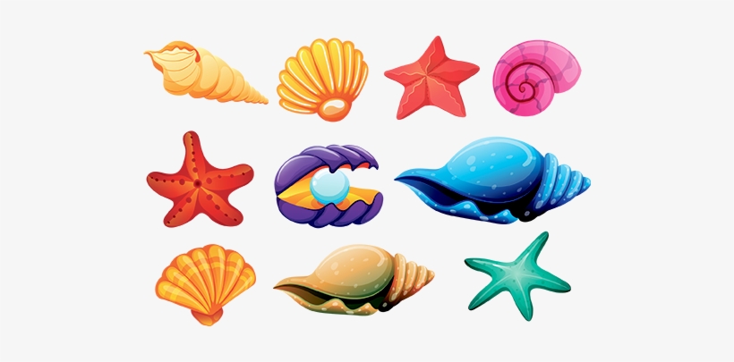 She Sells Seashells - Colorful Sea Shells Png, transparent png #358108