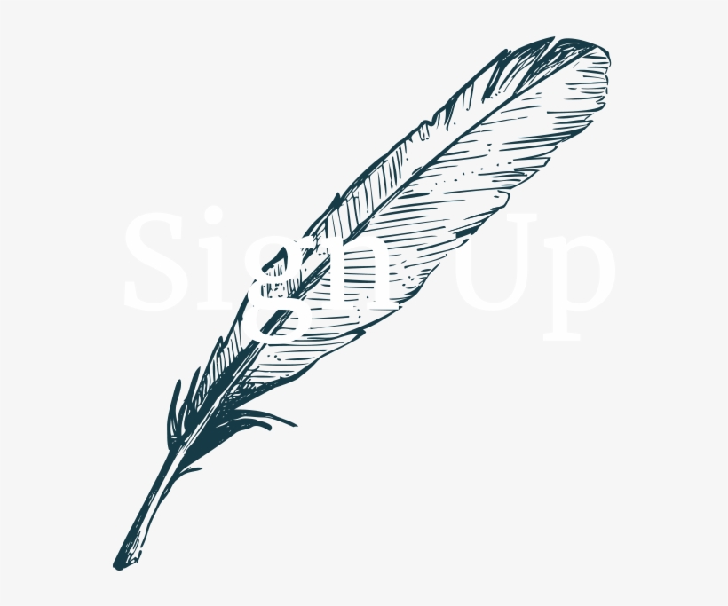 Dixon Rye Sign Up Feather, transparent png #358214