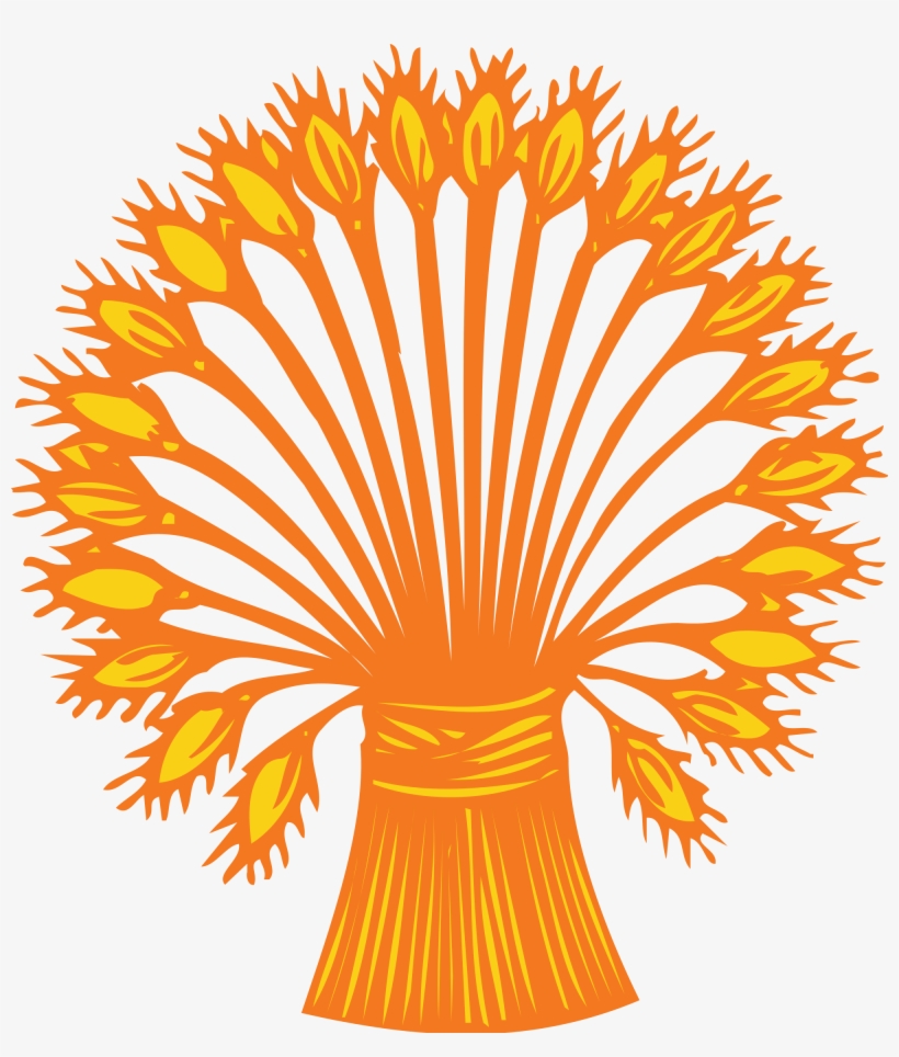 Open - Raceface Cinch Chain Ring, transparent png #359071