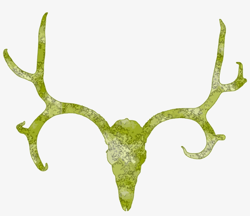 Best Deer Skull Clip Art - Antler, transparent png #359192