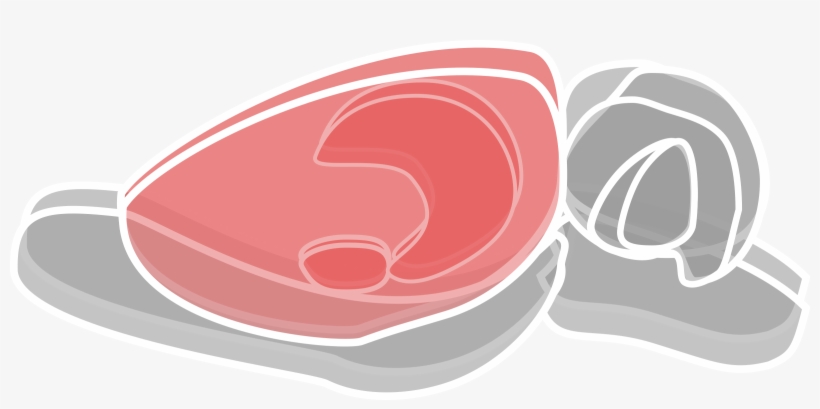 Rodent Brain Icon This Free Icons Png Design Of Rat Brain 1 - Free Transparent PNG ...